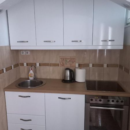 Apartman Rada 2 比耶利纳 外观 照片